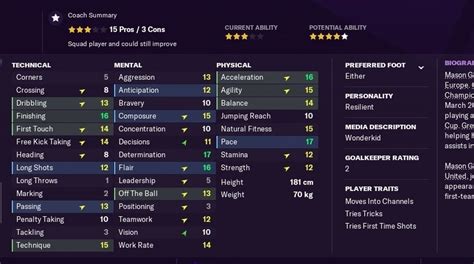 Facebook is showing information to help you better understand the purpose of a page. Football Manager 2021 wonderkids: the best, highest ...