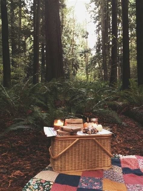 Forest Picnic To Go Pinterest