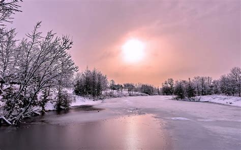 Free Download Snow Forest Frozen River Hd Wallpaper 1920x1200 For