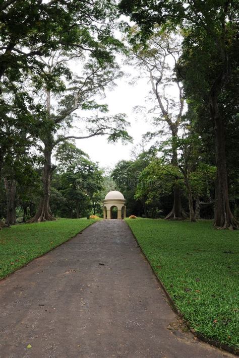 Unique Royal Botanical Gardens In Peradeniya Is Considered As One Of