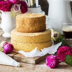 Beat eggs, vanilla extract, oil and buttermilk in a large bowl until fluffy. Hoher Tortenboden aus Biskuit | Rezept | Kuchen ideen ...