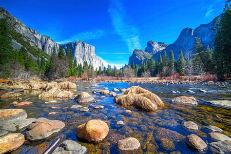 Yosemite National Park California Stock Photo Download Image Now Istock