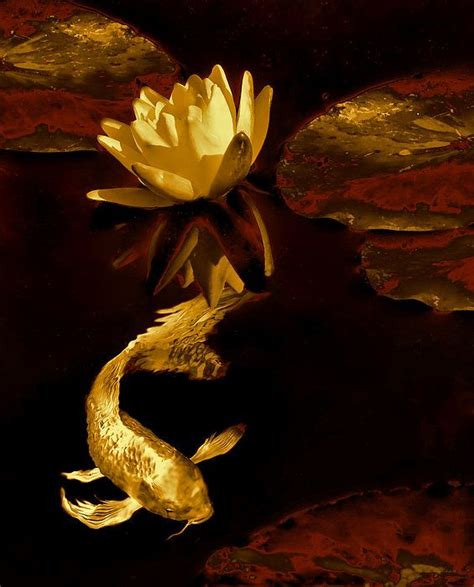 Rich Hues Of Gold Rust And Brown Complement This Golden Japanese Koi