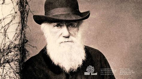 Charles Darwin Wallpapers ·① Wallpapertag