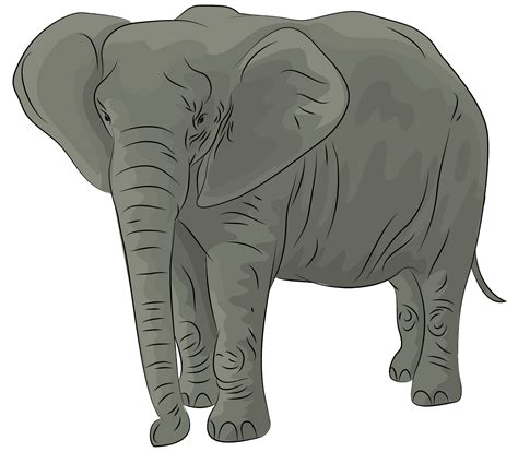 Elephant Clipart Clip Art Library