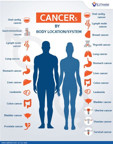 Which Parts Of The Body Can Have Cancer Vejthani Hospital Jci Accredited International