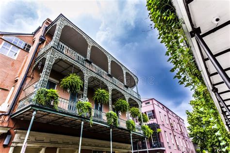 Old New Orleans Houses In French Stock Photo Image Of Plants Orleans