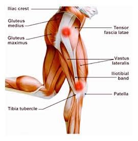 Punca sakit lutut amat ingin diketahui oleh mereka yang mula merasai ada sedikit ketidakselesaan di bahagian lutut. Ketahui Punca & Rawatan Terbaik Untuk Elak Sakit Lutut ...