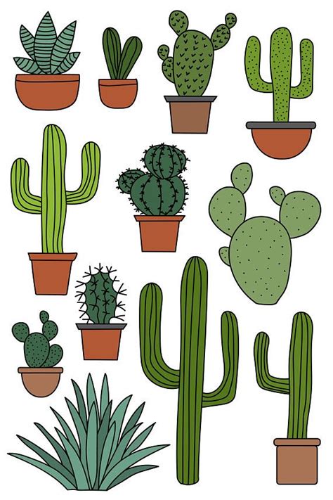 Cactus Clipart Set Hand Drawn Clip Art Illustrations Of Desert Cacti