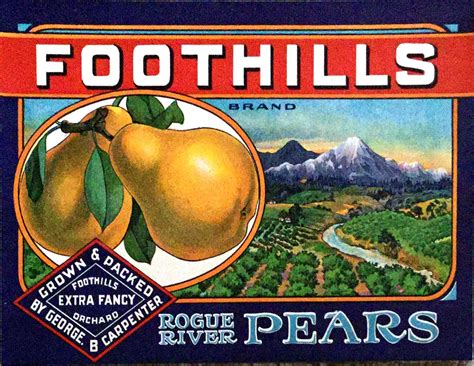Vintage Fruit Crate Label Vintage Labels Vintage Ads Vintage Signs