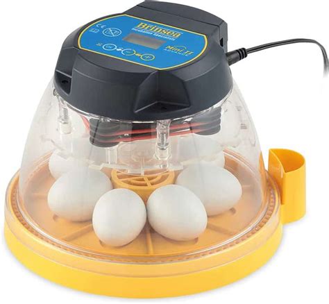 5 Best Egg Incubator For Chicken Eggs With Automatic And Manual Turner