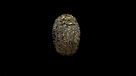 Wallpaper Fingerprint Data Biometrics Hand Darkness Wing Organ