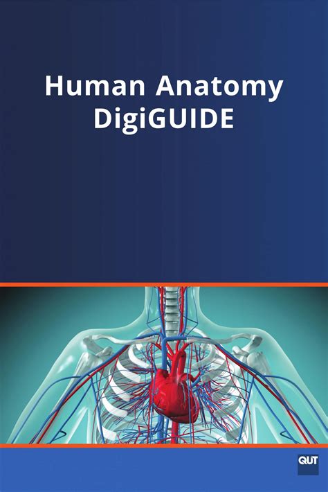 Human Anatomy Digiguide Lqb187 Simple Book Publishing