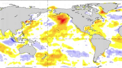 New Marine Heat Wave Known As The Blob Spotted Again Off The West