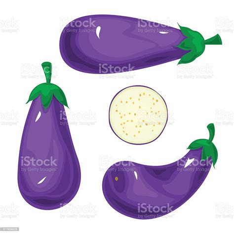Set Eggplants Vector Illustration Stock Illustration Download Image