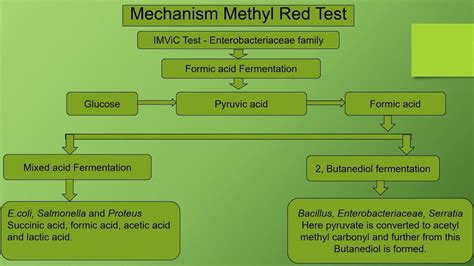 Methyl Red Biochemical Test Imvic Youtube