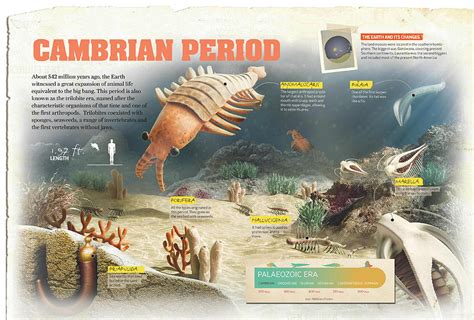 Cambrian Period Digital Art By Album Pixels Merch