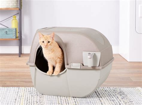 10 Best High Sided Litter Boxes For High Spraying Cats 2023 Reviews