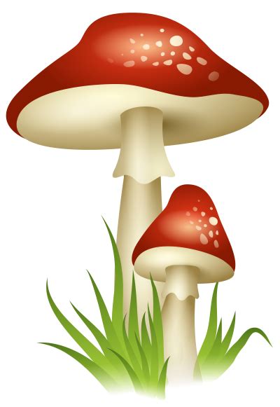 Download Free Mushroom Png Transparent Background And Clipart