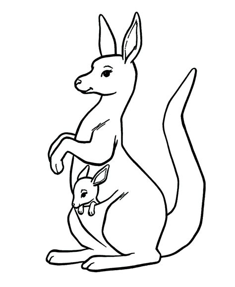 Kangourou dans la poche  Coloriage de Kangourous  Coloriages pour enfants