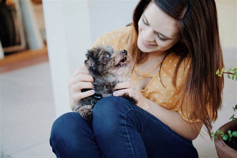 A puppy's first vet visit may also include discussion about socialization and training in addition to the general items above. Puppy First Vet Visit: Questions to Ask - The Trupanion Blog