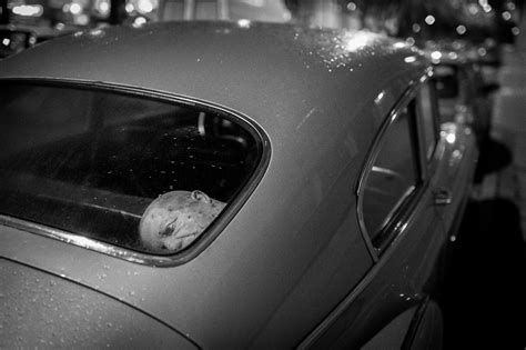 Fond D écran Monochrome Nuit Voiture Réflexion La Photographie Verre Stockholm Lumière