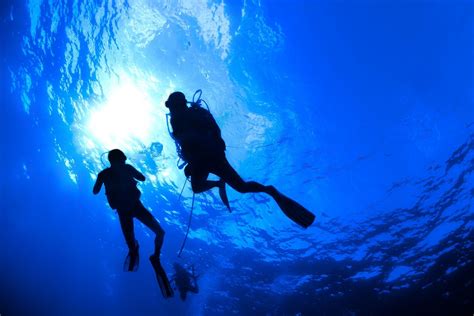 Diving Wallpapers Top Free Diving Backgrounds Wallpaperaccess