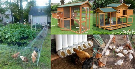 Beautiful Diy Chicken Coop Ideas You Can Actually Build Diy Images