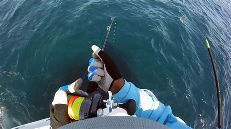 Amberjack Slow Pitch Jigging Offshore Fishing Youtube