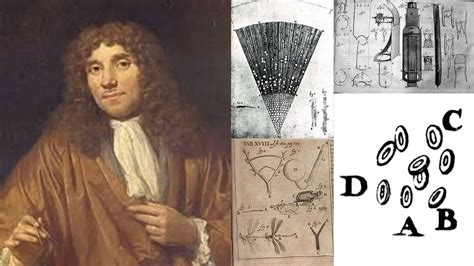 Anton Van Leeuwenhoek Discovery