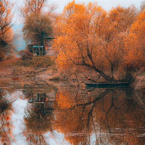 Free Picture Orange Yellow Colors Autumn Season Boat Lakeside