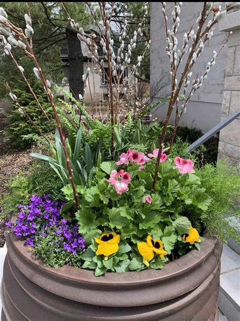Outdoor Spring Planter Kit Flowers Talk Tivoli