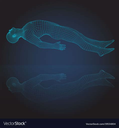 3d Wire Frame Human Bodyhorizontal Lying Vector Image
