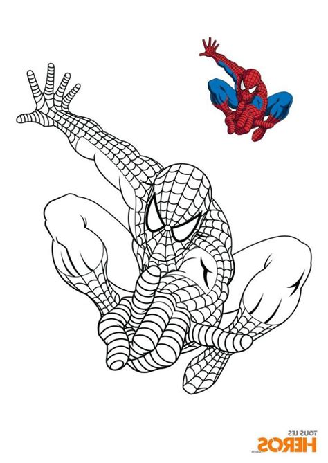 Terminez le dessin des yeux du masque de spider man. Spiderman Dessin Couleur Luxe Stock Les 25 Meilleures ...
