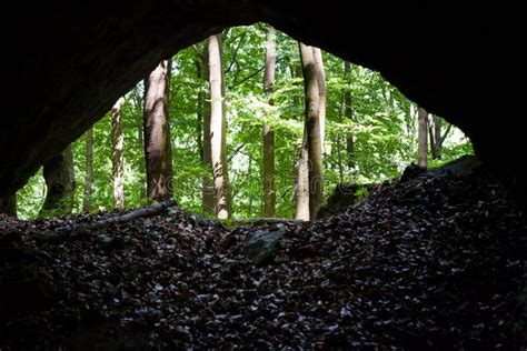 Cueva Del Bosque Foto De Archivo Imagen De Ucrania Caliente 19023946