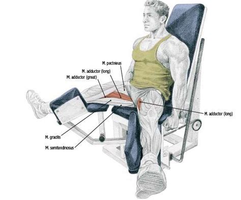 Seated Hip Adduction Bodybuilding Wizard