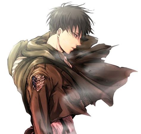 Levi X Reader A Mission Worth Dying For Chapter 72 Page 2 Wattpad