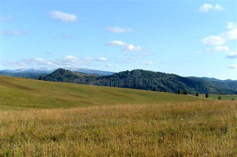Western Siberia The Foothills Of The Altai Mountains Stock Image