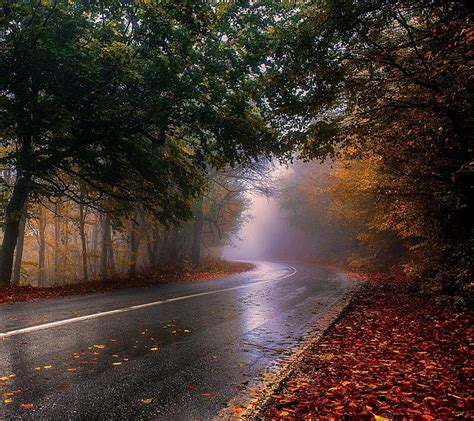Rainy Day Autumn Road Hd Wallpaper Peakpx