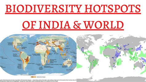 Biodiversity Hotspots Of India And World Conservation International For