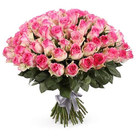 Huge Bouquet Of Roses Pink Buy In Vancouver Fresh Flowers Delivery