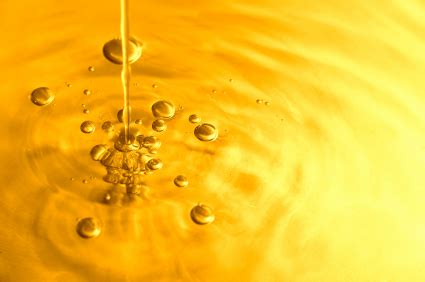 It contains terpenic acids and phenolic compounds, which a cat's liver is not able to process properly. How To Mitigate The Rising Costs Of Bulk Olive Oil
