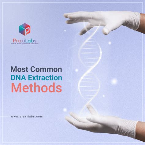 7 Different Dna Extraction Methods Praxilabs