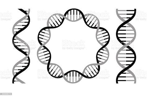 Dna Strands Stock Illustration - Download Image Now - iStock