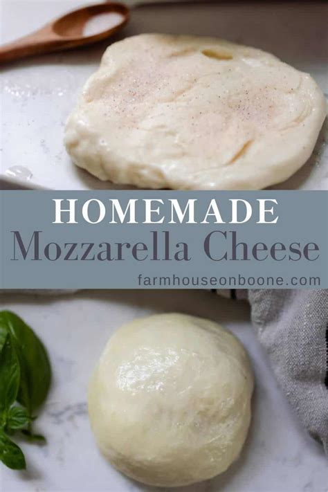 Homemade Mozzarella Cheese Farmhouse On Boone