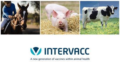 A new generation of vaccines within animal health - Intervacc