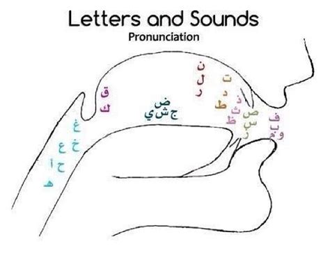 Further explanation of the various types of sounds can be found in the lessons on. Mispronounced Arabic Sounds | Ibnulyemen Arabic