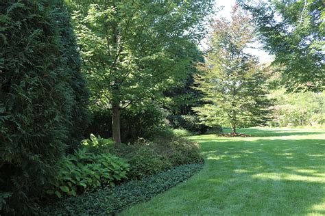 Perfectly manicured and looking great. (Photo by RStarovich) #