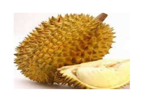 Perpaduan rasa kelengkeng dan durian tekstur kulitnya: Abm buah buahan tempatan