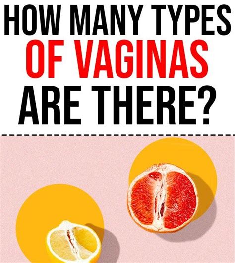 How Many Types Of Vaginas Are There